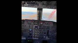 Boeing 737 Classic - massive birdstrike during landing
