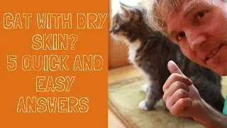Dry Skin and Dandruff in Cats: 5 Quick and Easy Answers