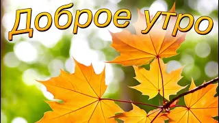 Доброе утро ☀️ Прекрасного дня и чудесного настроения 🌼🌼🌼