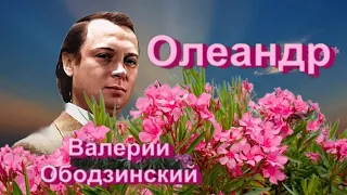 "Олеандр" --    Валерий Ободзинский. 1978 год.