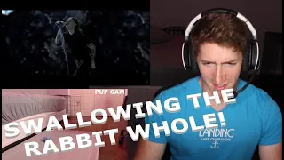 Chris REACTS to Code Orange - Swallowing The Rabbit Whole