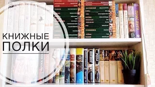 КНИЖНЫЕ ПОЛКИ #1 | Время интересных историй