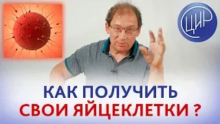 Свои яйцеклетки. Как получить СВОИ ЯЙЦЕКЛЕТКИ и забеременеть?  ДЕГИДРОЭПИАНДРОСТЕРОН (ДГЭА)