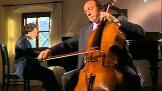 Perenyi & Schiff ~ Schubert Arpeggione d821