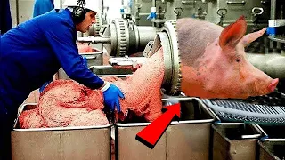 Modern Pig Farming! Million Dollars Pork Processing Factory