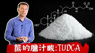 膽汁酸TUDCA,膽結石與肝硬化自然療法,柏格醫生 Dr Berg