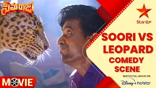 Soori vs Leopard Comedy Scene | Shivakarthikeyan-Soori Comedy Scene | Seemaraja | Star Maa