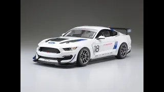 Tamiya 1/24 Ford Mustang GT4 review with waffle..