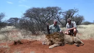 Lion hunting video in South Africa with Limcroma Safaris