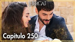 Hercai - Capítulo 250