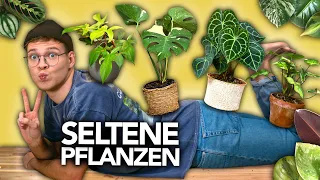 DAS MYSTERIUM UM SELTENE PFLANZEN - 15 seltene Zimmerpflanzen  | Joey's Jungle Plants