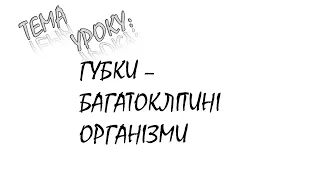 ГУБКИ - БАГАТОКЛІТИННІ ОРГАНІЗМИ