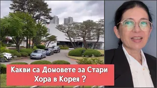 Дом за Стари хора в Корея ? Българо -корейска рецепта със СПАНАК 🥬