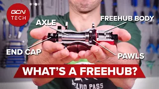 Bicycle Freehub Tear Down | GCN Tech Deep Dive