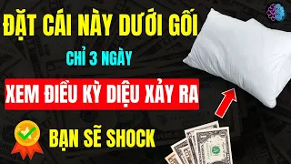 Luật Hấp Dẫn - ĐÚNG 0H, ĐẶT Cái Này DƯỚI GỐI, Sau 3 Ngày Xem Điều Kỳ Diệu Xảy Ra