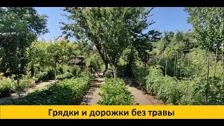 Как избавилась от травы в огороде и облегчила себе труд. Теперь чистые грядки и дорожки. Обзор.