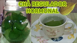 🔴CHÀ Q REGULA os HORMONIOS e INDUTOR NATURAL e Baixa a GLICOSE (Como Fazer e Tomar).