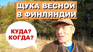 В Финляндию на рыбалку за щукой весной.🎣Куда и Когда?