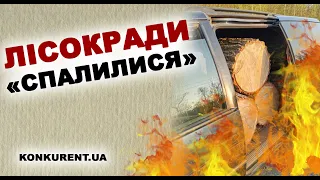 Крали ліс і замітали сліди: як лісокради на Волині підпалили власний автомобіль