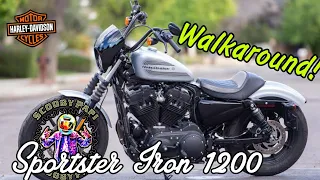 Sportster Iron 1200 | Harley Davidson motorcycle in the Philippines