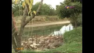 В Дагомысе река затапливает дома