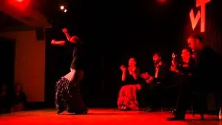 Flamenco Dance