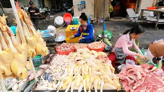 Amazing Cambodian Food Market Scenes - Meat, Pork, Chicken, Ducks, Fish & More | TourWithPapa