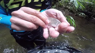 19:12:2020 morning ride lubuk tedung kemensah