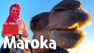 Maroka 2023