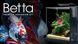 Fluval Betta Kit | Overview