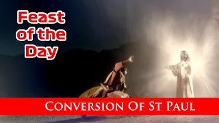 Conversion Of St Paul - Feast of the Day with Fr Lindsay - 25 January 2023