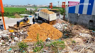 Starting New Project Bury Trash By 10 Wheel-5Ton Truck Unloading Soil & MITSUBISHI Bulldozer Pushing