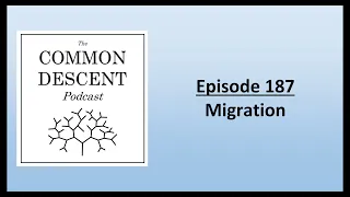 Episode 187 - Migration