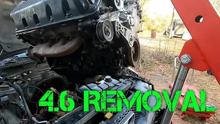 Mustang GT 4.6 engine removal.