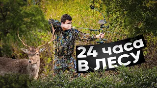 Выживаем 24 часа в диком лесу.