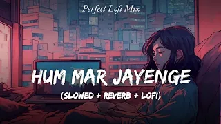 Hum Mar Jayenge - Lofi Mix | Slowed And Reverb | Aashiqui 2 | Arijit Singh & Tulsi Kumar | SSR Lofi