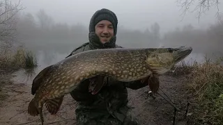 Pike Fishing with Dead Baits  (Gravel Pit Monster!🐊)