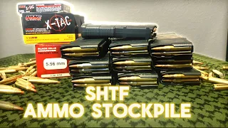 SHTF How Much ammo is enough | False Reality of Bugging out