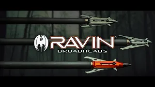 Ravin Broadheads