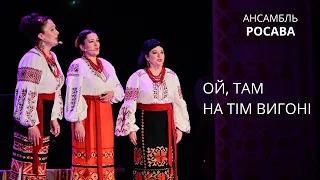 "Ой, там на тім вигоні" Ансамбль "Росава"