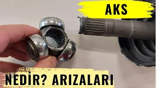 AKS, AKS LALESİ, MAFSALLAR, KÖRÜKLER, VURUNTU SESİ,