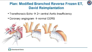 Modified branched reverse frozen elephant trunk repair for failed TEVAR