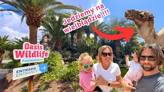 Wielbłądy na Fuerteventura !!! Jak wygląda Oasis Wildlife Fuerteventura i ile to kosztuje?