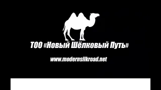 Транспортная компания "Новый Шелковый Путь". 2021 год