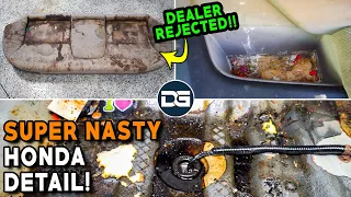 Super Cleaning a DISASTER Honda Civic! | The Detail Geek