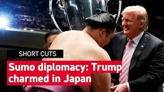 The highlight of Trump's Japan visit? Sumo wrestling