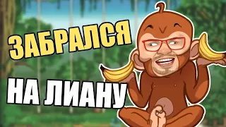 CRAZY MONKEY ОБЕЗЬЯНКИ 🐵 КАК ИГРАТЬ И ВЫИГРАТЬ В ОНЛАЙН КАЗИНО ВУЛКАН 🐵 ЭДИК ИГРОВЫЕ АВТОМАТЫ ОТЗЫВЫ