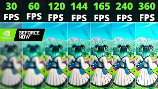 Geforce Now Fortnite 30fps vs 60fps vs 120fps vs 144fps vs 165fps vs 240fps vs 360fps