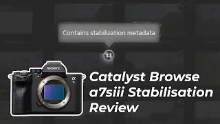 Catalyst Browse Stabilisation Review vs Sony a7siii IBIS & Gimbal - Should YOU use it?