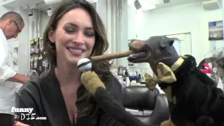 Triumph The Insult Comic Dog Visits the Set of 'This is 40'